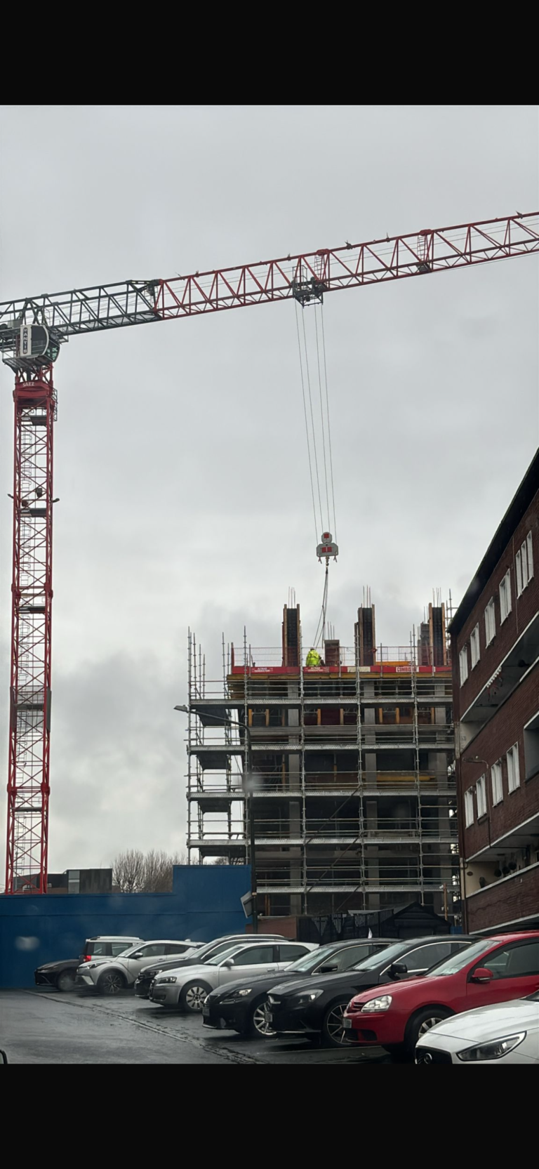 IMG_8081